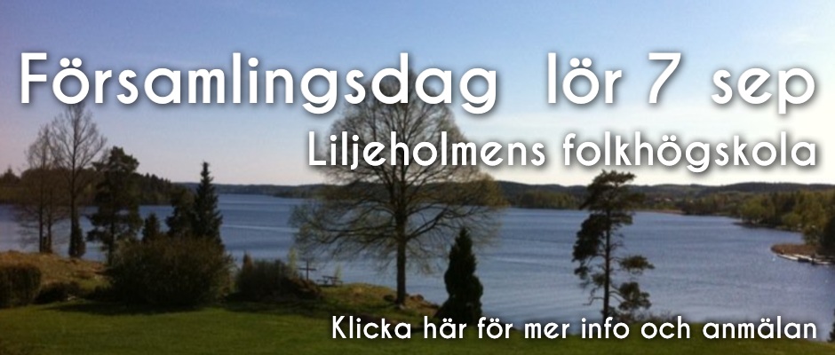 Församlingsdag 2013